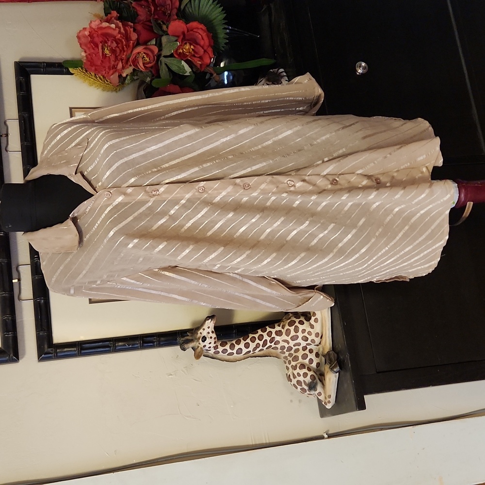 Long, Sheer Beige Blouse